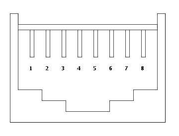 cat5_7956760a6b96bf17f5fb7bbb048d0b1645831aa7.png